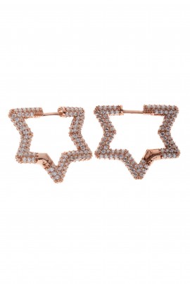 BEYAZ TAŞ YILDIZ KÜPE