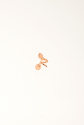 TRAGUS PİERCİNG 19