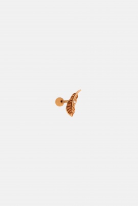 TRAGUS PİERCİNG 21