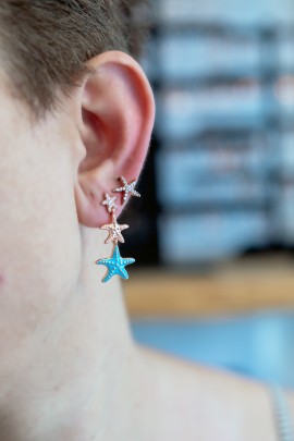 ÜÇLÜ DENİZ YILDIZI